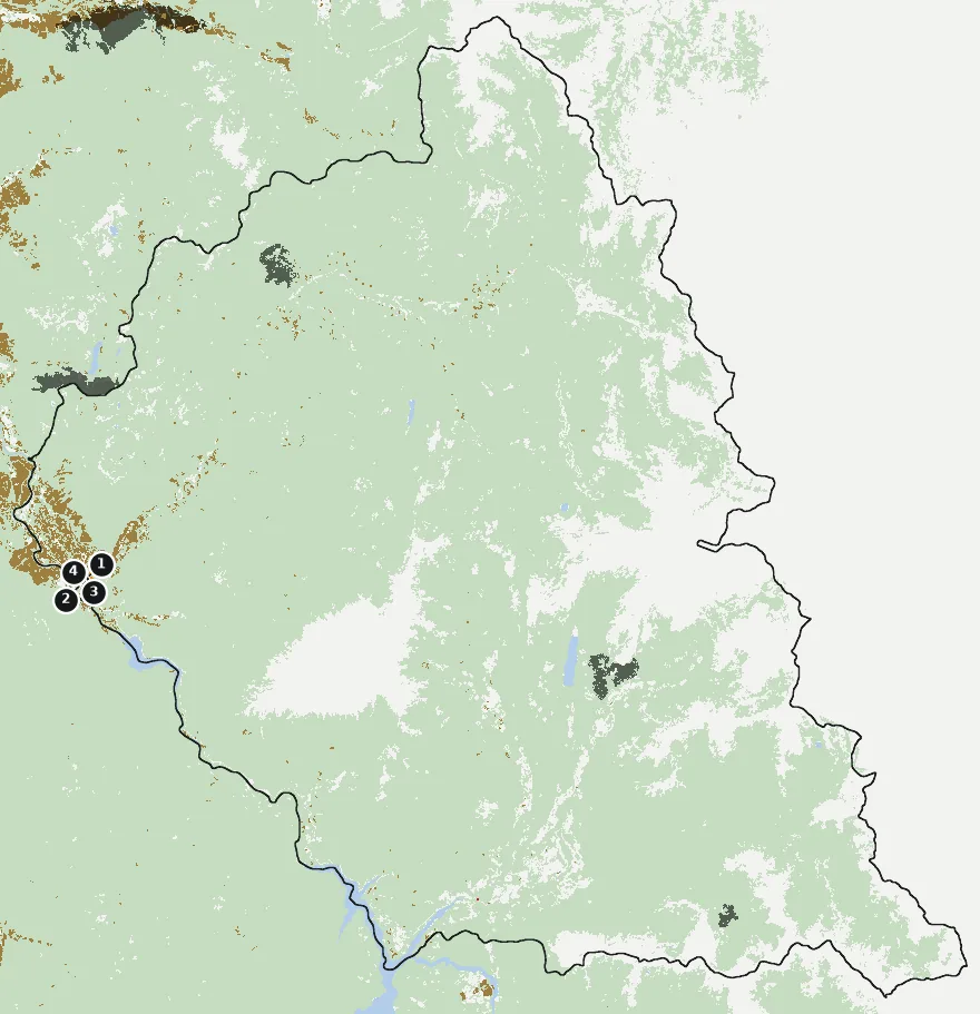 Mapa de Alto Biobío con las zonas pobladas, la plantación forestal a menos de 500 m y el área quemada entre 2023 y 2025