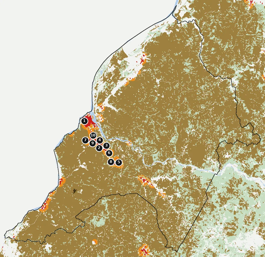 Mapa de Constitución con las zonas pobladas, la plantación forestal a menos de 500 m y el área quemada entre 2023 y 2025