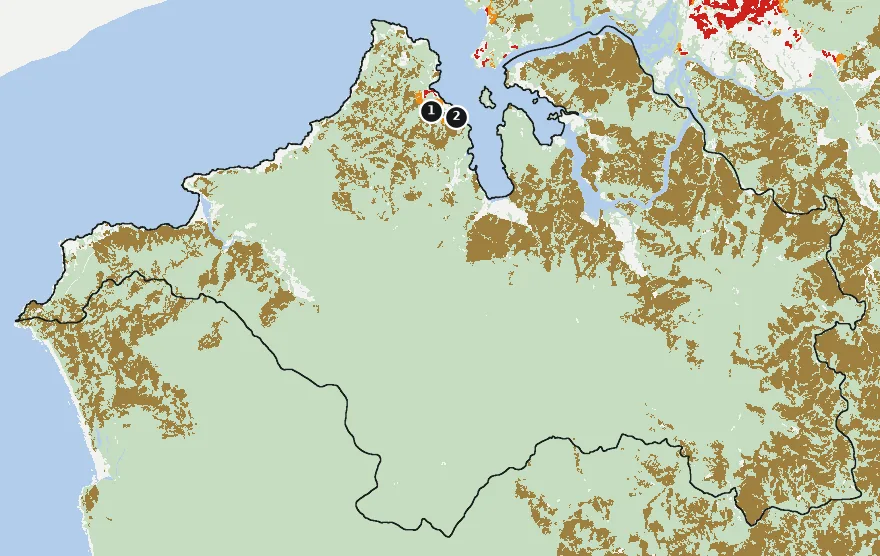 Mapa de Corral con las zonas pobladas, la plantación forestal a menos de 500 m y el área quemada entre 2023 y 2025