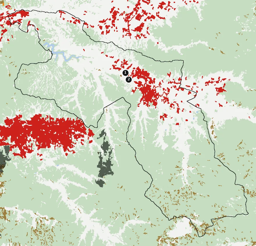 Mapa de Limache con las zonas pobladas, la plantación forestal a menos de 500 m y el área quemada entre 2023 y 2025