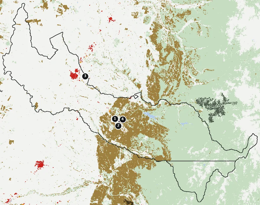 Mapa de Parral con las zonas pobladas, la plantación forestal a menos de 500 m y el área quemada entre 2023 y 2025