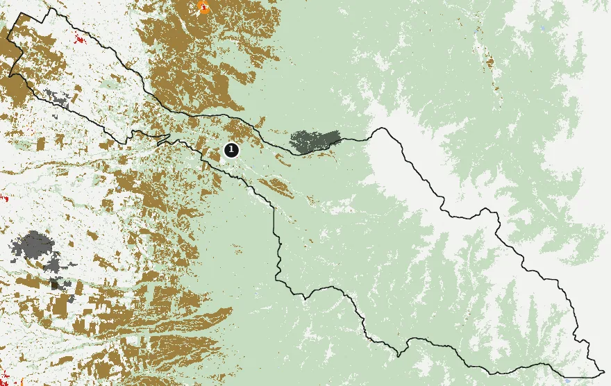 Mapa de Pinto con las zonas pobladas, la plantación forestal a menos de 500 m y el área quemada entre 2023 y 2025