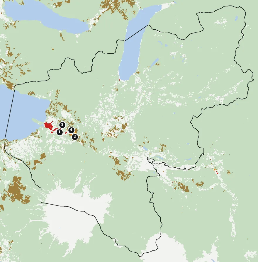 Mapa de Pucón con las zonas pobladas, la plantación forestal a menos de 500 m y el área quemada entre 2023 y 2025
