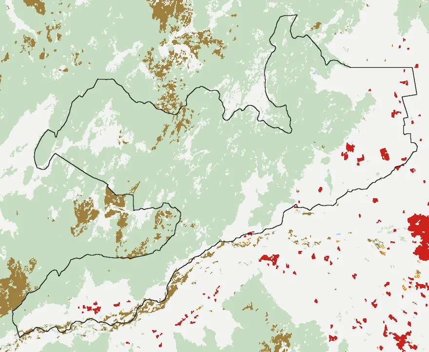 Mapa de Rauco con las zonas pobladas, la plantación forestal a menos de 500 m y el área quemada entre 2023 y 2025