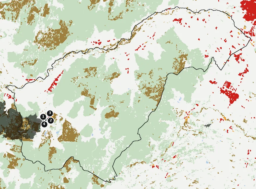 Mapa de Sagrada Familia con las zonas pobladas, la plantación forestal a menos de 500 m y el área quemada entre 2023 y 2025