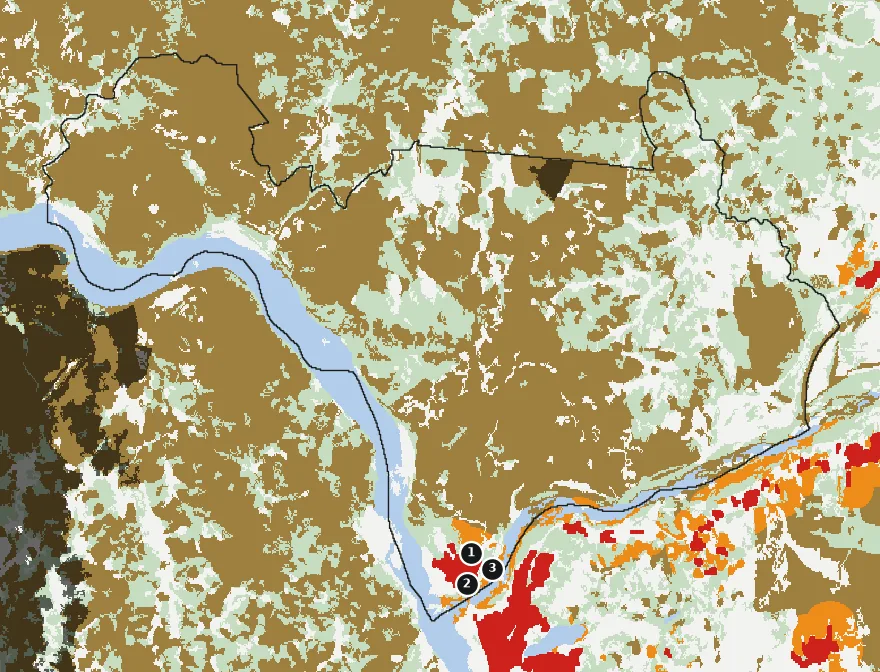 Mapa de San Rosendo con las zonas pobladas, la plantación forestal a menos de 500 m y el área quemada entre 2023 y 2025