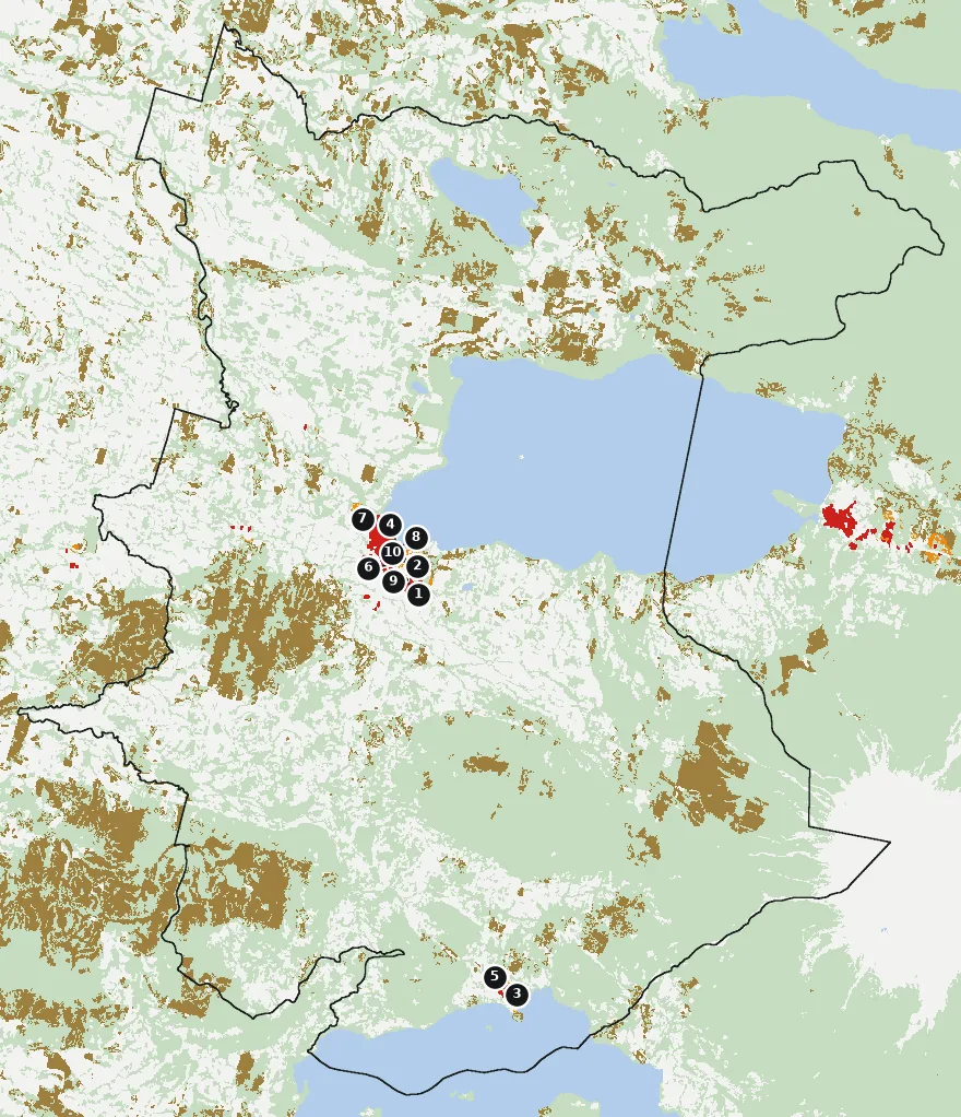 Mapa de Villarrica con las zonas pobladas, la plantación forestal a menos de 500 m y el área quemada entre 2023 y 2025